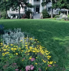 grassy lawn and flowers in front of white Greek Revival B&B