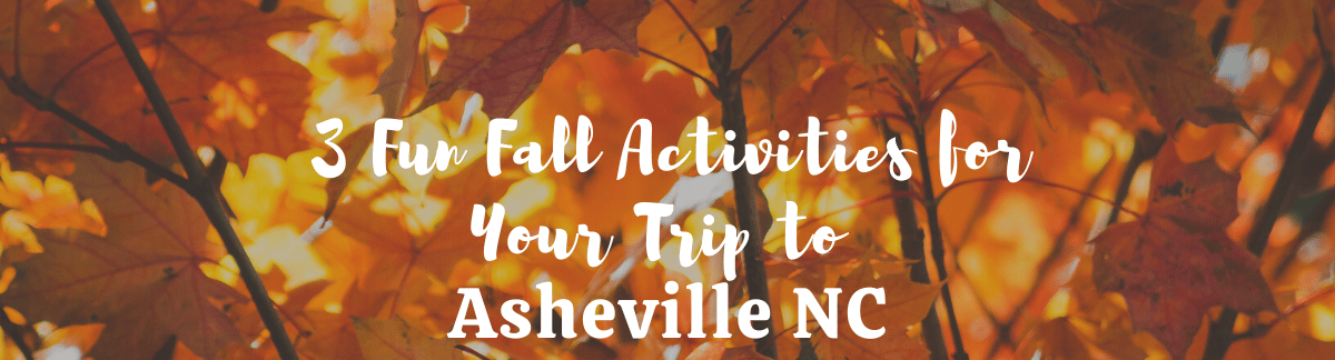 3 Fun Fall Activities for Your Trip to Asheville, NC, The Asheville Bed &amp; Breakfast Association