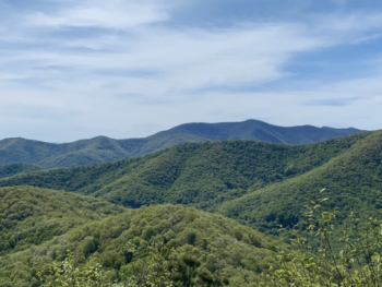 long range view of mountains with green trees and blue skies