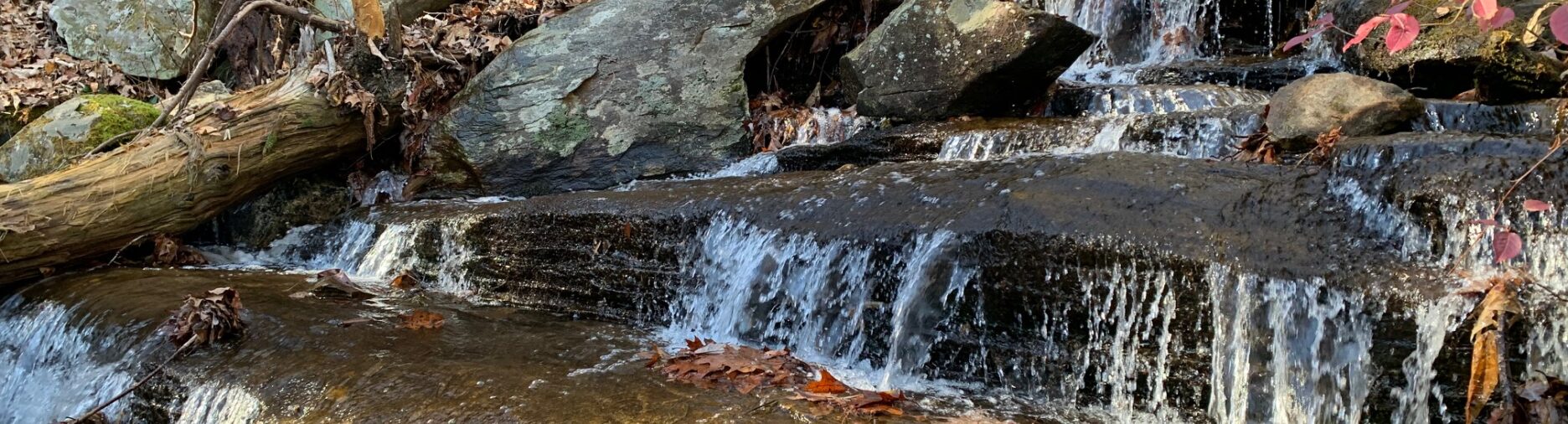 waterfall with rocks and autumn leaves