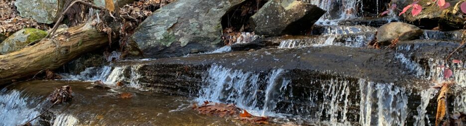 waterfall with rocks and autumn leaves