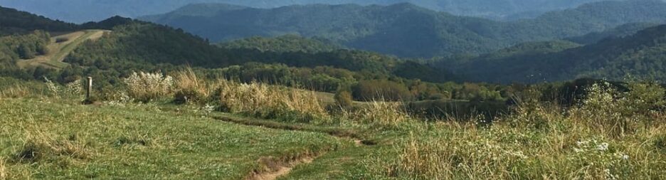 The Ultimate Guide to Hiking in Asheville, NC, The Asheville Bed &amp; Breakfast Association